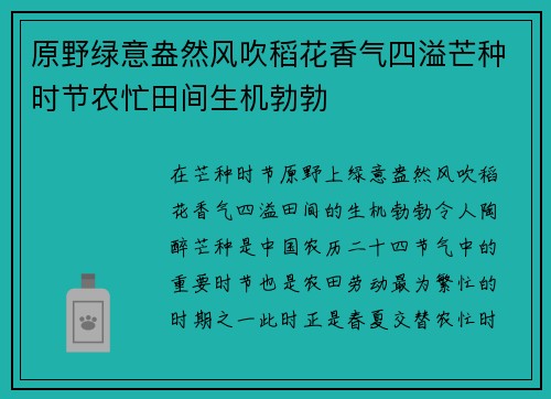 原野绿意盎然风吹稻花香气四溢芒种时节农忙田间生机勃勃